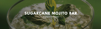 Norwegian Cruise Line Norwegian Bliss Mojito Bar Cover.png